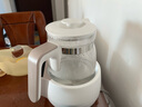 小白熊SnowBear恒温水壶婴儿调奶器奶瓶冲泡奶粉热水壶温奶器1.2L烧水壶 0857 实拍图