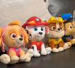 汪汪队立大功（PAW PATROL）毛绒玩偶男孩女孩生日礼物玩具经典款天天公仔小号15.2CM 实拍图