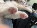来旺兄弟（L&W BROS.）猫咪狗狗剃脚毛器边剃边吸毛宠物店同款修毛修剪器推子PC-298粉色 实拍图