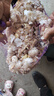 【百万斤急卖】山东大蒜种新干蒜紫皮大蒜头种籽蒜大蒜头蔬菜苗 金乡本地优质大蒜 5斤 超值 大果 实拍图
