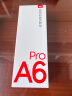 有道词典笔A6pro 点读笔英语学习神器 电子词典翻译笔扫描笔翻译机单词笔便携式学习机 实拍图