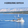 京东京造大连冷冻即食海参 净重500g 家庭装 8-12只 海鲜滋补 实拍图