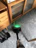 西屋多合一吸尘器V10 绿光显尘家用无线手持可直立吸尘器【30KPa强劲吸力 UV杀菌99.99%】 WXC-V10（单机版） 实拍图