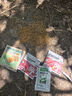 网易严选全价猫粮 宠物主粮幼猫成猫全价粮猫咪食品 深海鱼虾口味50g*2 实拍图