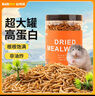 比克熊面包虫干仓鼠零食黄粉虫芦丁鸡鹦鹉金丝熊龟粮食820ml 实拍图