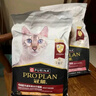 冠能猫粮成猫猫粮鸡肉味3.5kg 全价猫粮 稳固免疫 适口性强 实拍图