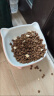 愛肯拿（ACANA）猫粮 海洋盛宴成猫幼猫粮 全价通用无谷进口鱼肉粮5.4kg效期26/2 实拍图