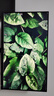 SANC盛色23.8英寸2K原生180Hz FastIPS显示器10bit 硬件低蓝光 电脑电竞屏幕 G52Plus(升降支架版) 实拍图