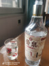 晋泉朝夕 高粱白酒 清香型白酒 42度 500ml*6瓶 整箱装 实拍图