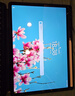毕亚兹适用2024款华为MatePad air 12英寸钢化膜 华为平板电脑全屏覆盖真机开孔高清保护膜 PM236-高清 实拍图