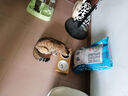 伟嘉成猫猫粮全价粮1.3kg海洋鱼味夹心粮布偶蓝猫橘猫加菲英短猫咪 实拍图
