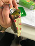 立顿（Lipton）绿茶安徽黄山50g 送礼非独立袋泡双囊茶包办公室下午茶2g*25包 实拍图