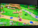 Nintendo Switch任天堂续航版游戏机NS掌上主机日版灰色便携家用体感掌机(国家补贴15%) 实拍图