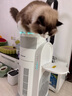 霍尼韦尔（Honeywell）【papi酱同款】宠物猫用空气净化器吸猫毛除甲醛过敏源杀菌消毒霍哈宝H-Cat Hub家电国家补贴 实拍图