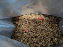 卡乐比（Calbee）即食燕麦片 水果麦片可可莓味380克 日本进口非油炸代餐早餐零食 实拍图