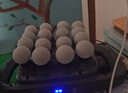 VTT【德国】十六头筋膜枪腿部全自动揉捏全身深层肌肉器腰腿部电动颈膜16肩颈小腿按摩仪生日礼物女生 【16头顶配款】30档+动力锂电池+德国品牌电机灰 实拍图