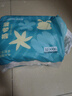 巴布豆（BOBDOG）新菠萝拉拉裤XL码36片婴儿尿不湿 超薄透气【品牌直供 安心品质】 实拍图