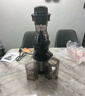 SAVTM狮威特savtmje220不锈钢榨汁机渣汁分离原汁机家用果汁机大口径商用多功能鲜榨果汁蔬菜豆浆冰淇淋碎冰 标配【24M00】 实拍图