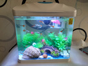森森（SUNSUN）鱼缸水族箱生态桌面金鱼缸玻璃小型客厅制氧过滤免换水家用缸 高清玻璃 230白标配+小桥流水景 实拍图