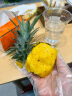京鲜生 徐闻香水菠萝 净重3斤 单果750g+ 生鲜水果源头直发 实拍图