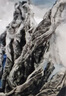 方家铺子中华老字号 有机裙带菜80g 烘干海带菜海产干货 凉拌煲汤火锅食材 实拍图