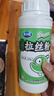 龙王恨鱼饵野战蓝鲫X5青春版腥香饵江河黑坑野钓鲫鲤草鳊鱼通杀钓鱼饵料 统爆·拉丝粉(共240g/1瓶) 实拍图