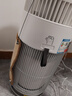 霍尼韦尔（Honeywell）宠物空气净化器吸猫毛除过敏源猫猫搭子 猫毛净化器杀菌消毒除异味【家电国家补贴】KJ360F-C22W 实拍图