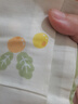 雅鹿床上四件套纯棉100%春秋全棉被罩床单家用床笠款宿舍床上用品被套 Ryue-砂糖橘【100%纯棉】 1.8米 床单款 四件套-被套2*2.3m 实拍图