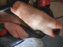 猪蹄现杀整只猪蹄新鲜带筋猪蹄子猪脚猪手前蹄后蹄整箱批发生猪蹄 带筋土猪蹄（多筋少脂 Q弹劲道） 1只试吃装 实拍图