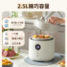小熊（Bear）电压力锅 电高压锅 小型智能高压电饭锅 家用多功能迷你可打火锅 YLB-C25R5 2.5升2~3人 实拍图