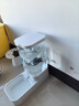 宠物自动喂食器猫咪饮水机猫碗狗狗喂水投食器猫食盆狗碗大容量 宠物自动饮水器3.8L 实拍图