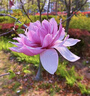 富安娜被子夏凉被可机洗双人空调被裸睡夏季薄被芯3斤230x229cm粉 实拍图
