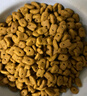 耀目猫粮成猫幼猫全阶段通用英短蓝猫深海鱼鱼肉猫食天然粮 【全阶段】通用猫粮20斤 实拍图