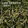 京东京造 2025新茶特级信阳毛尖100g栗香明前嫩芽叶绿茶茶叶自己喝 自营 实拍图