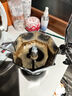 比乐蒂（Bialetti）【百年品牌】摩卡壶 双阀高压手冲咖啡壶意式浓缩手动咖啡机送礼 4杯份+4.0电陶炉(摩登黑) 170ml 实拍图