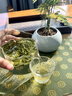 乐品乐茶茶叶绿茶特级毛尖2025新茶明前春茶嫩芽冷泡茶自己喝京东自营250g 实拍图