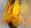 三只松鼠芒果干500g/袋 休闲零食水果干蜜饯果脯娱乐办公室小吃量贩装 实拍图