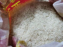 湖鑫星 西湖香油粘虾稻米【真空装】绿色食品认证 南方籼米长粒大米5斤 实拍图