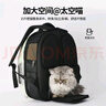 乐优派猫包外出便携太空舱猫背包双肩包宠物包大号透气猫咪用品新风款 实拍图