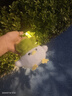 武汉文创蒜鸟发声玩偶纪念品鄂人和平鸟钥匙扣毛绒玩具公仔挂件 白色武汉蒜鸟【1个装】 武汉蒜鸟背包挂件桌面摆件 实拍图