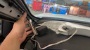 漫步者汽车音响改装SF651E+S651B四门6喇叭套装6.5英寸车载扬声器 实拍图