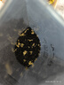 陈一凡 茉莉花茶飘雪 特级浓香型 茶叶新茶 四川茶花毛峰袋装250g 实拍图