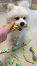 HELLOJOY狗狗玩具 耐咬磨牙棉绳球套装宠物幼犬小狗玩具自己玩解闷9件套 实拍图