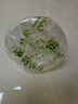 贝亲（Pigeon）畅吸实感第3代启衔奶嘴 宽口径奶嘴 3L号-2只装 BA139 15个月以上 实拍图