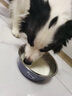 憨憨乐园狗碗大型犬水盆狗盆不锈钢碗宠物食盆中型犬喝水狗狗食碗猫碗饭盆 实拍图