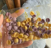 爷爷的农场婴幼儿有机贝壳面200g 宝宝营养辅食面条儿童早餐高铁营养面9月+ 实拍图