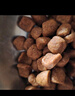 皇家皇家猫粮 英短成猫粮 BS34 通用粮 12月以上 2KG 实拍图