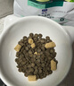 LEGENDSANDY蓝氏乳鸽猫粮幼猫成猫猫零食主食猫条餐包猫咪尝鲜大礼包246g 实拍图