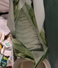 家得宝（homebaby）拉拉裤 蚕丝蛋白婴儿尿不湿花苞裤男女宝宝超薄透气学步裤 拉拉裤XL码36片 8-13kg 实拍图