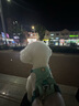 拉夫威尔ruffwear嗨轻狗狗胸背带狗背带中小型犬雪纳瑞背带式狗狗牵引绳 鼠尾草绿/雾森绿 XS 实拍图